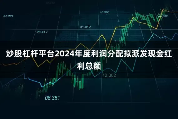 炒股杠杆平台2024年度利润分配拟派发现金红利总额