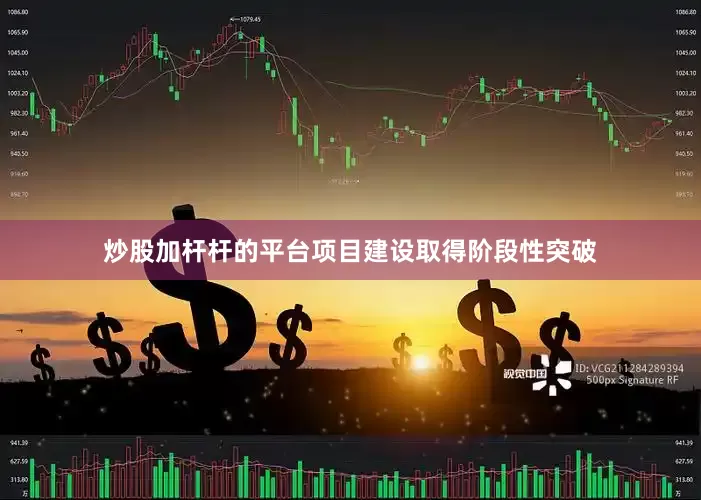 炒股加杆杆的平台项目建设取得阶段性突破