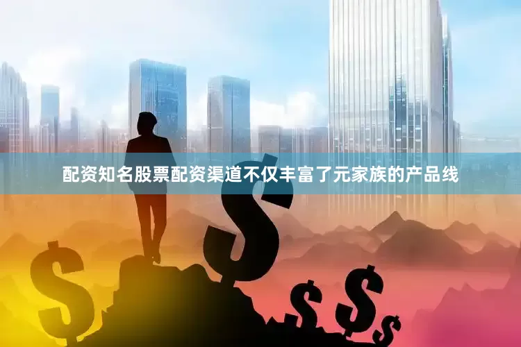 配资知名股票配资渠道不仅丰富了元家族的产品线