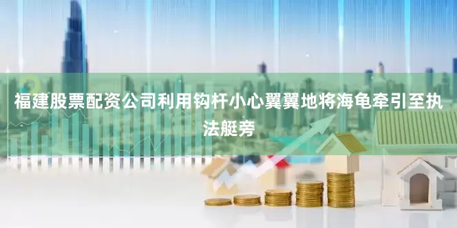 福建股票配资公司利用钩杆小心翼翼地将海龟牵引至执法艇旁